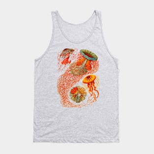 Haeckel Discomedusae Enhanced Antique Engraving Tank Top